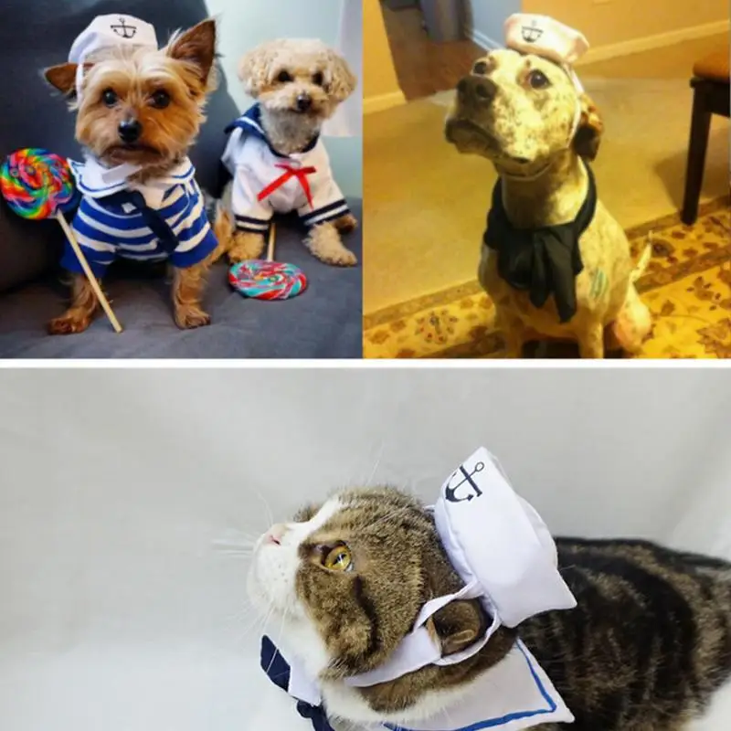 2018 Прекрасная стильная шляпа в темно-синем и матросском стиле, плюс шарф, костюм для собак и кошек, домашнее животное и темно-синий плащ Изображение 5